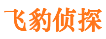 米东侦探公司